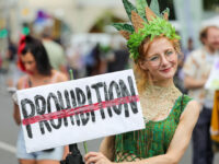 BERLIN, GERMANY - AUGUST 12: A costumed cannabis supporter holds a banner against prohibition during the annual Hemp Parade on August 12, 2023 in Berlin, Germany. The German coalition government has agreed on a general framework for the legalization of cannabis and is hoping to enact legislation before the end …