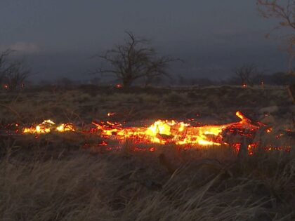 Hawaii fire grassland (Ty O'Neil / Associated Press)