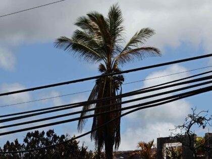 Hawaii Maui power lines (Rick Bowmer / Associated Press, file)
