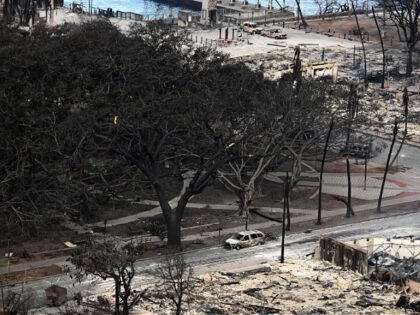 An aerial image shows the historic Banyan tree surrounded by burned cars in Lahaina in the aftermath of wildfires in western Maui in Lahaina, Hawaii, on August 10, 2023. At least 36 people have died after a fast-moving wildfire turned Lahaina to ashes, officials said August 9, as visitors asked …