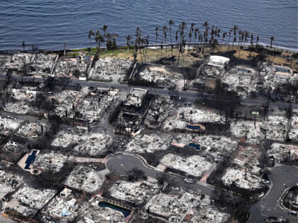 An aerial image taken on August 10, 2023 shows destroyed homes and buildings burned to the ground in Lahaina in the aftermath of wildfires in western Maui, Hawaii. At least 36 people have died after a fast-moving wildfire turned Lahaina to ashes, officials said August 9, 2023 as visitors asked …