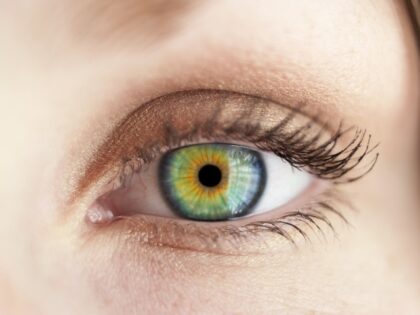 closeup of womans eye